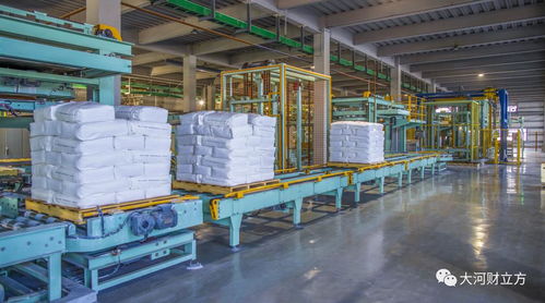 技術(shù)突破壁壘，銷量問鼎國內(nèi) 細分冠軍以國內(nèi)貿(mào)易代理重構(gòu)增長新格局