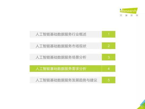 中國人工智能基礎數據服務行業報告 聚焦人工智能基礎軟件開發
